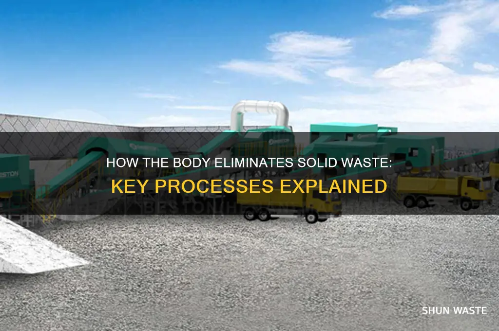 what is used to eliminate solid waste from the body
