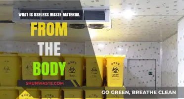Understanding Useless Body Waste: Types, Functions, and Elimination Explained