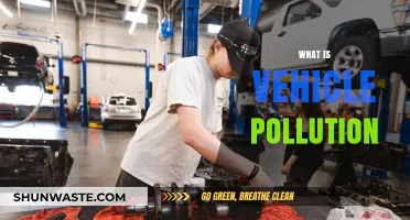 Vehicle Pollution: Understanding Its Impact and Causes