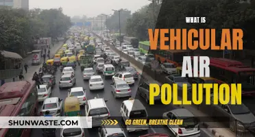 Air Pollution from Vehicles: A Deadly Threat