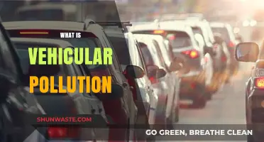 Vehicular Pollution: Its Impact and Our Health