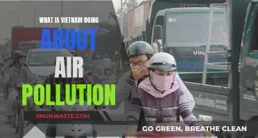 Vietnam's Fight Against Air Pollution: Strategies and Challenges
