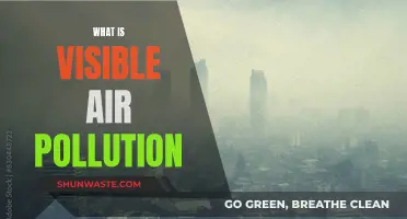 Air Pollution: What Can We See?