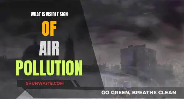 Air Pollution: Visible Signs and Their Impact