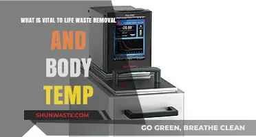 Essential Life Functions: Waste Removal and Body Temperature Regulation Explained
