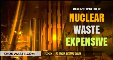 Why Vitrification of Nuclear Waste Costs So Much: Explained