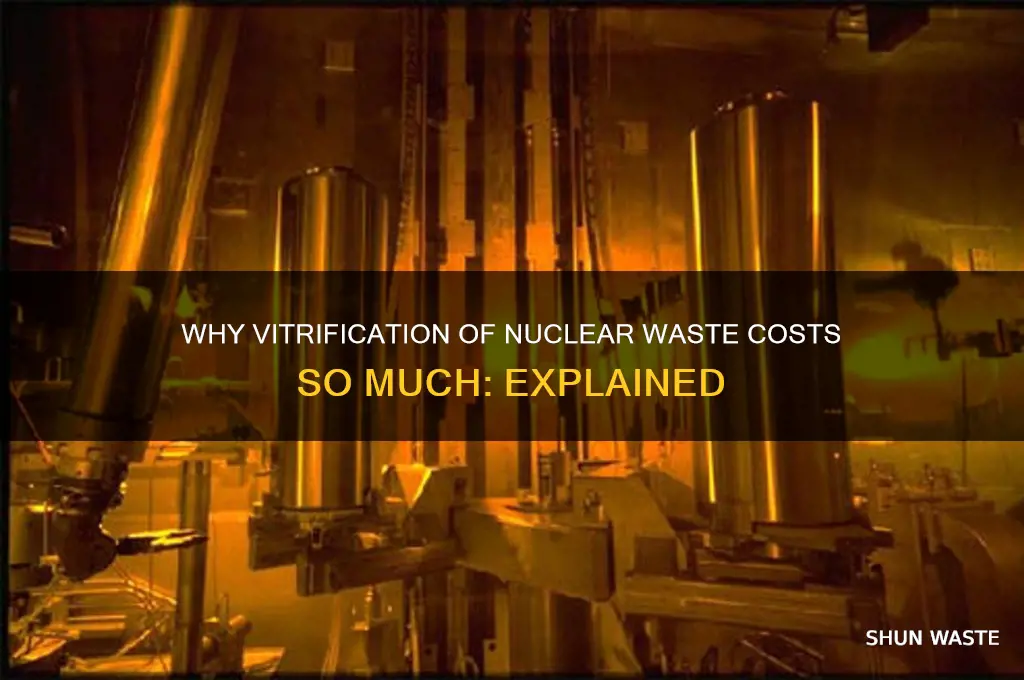 what is vitrification of nuclear waste expensive