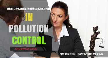 Voluntary Compliance: Effective Pollution Control Strategy?