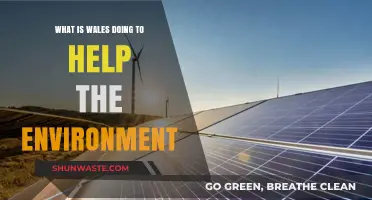 Wales' Green Initiatives: Leading Environmental Conservation Efforts Nationwide