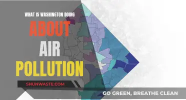 Washington's Battle Plan Against Air Pollution