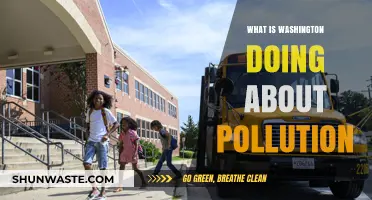 Washington's Fight Against Pollution: What's the Plan?