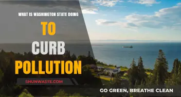 Washington's War on Pollution: Strategies and Initiatives