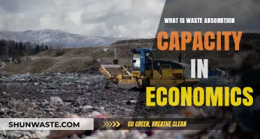 Understanding Waste Absorption Capacity: Economic Implications and Environmental Impact