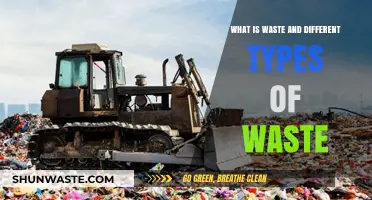 Understanding Waste: Exploring Various Types and Their Environmental Impact