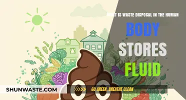 Understanding Waste Disposal: The Body's Fluid Storage System