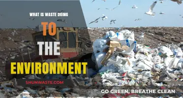 Waste's Devastating Impact: How Trash Destroys Our Environment and Planet