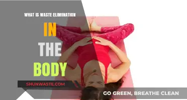 Understanding Waste Elimination: How Your Body Naturally Detoxifies Itself
