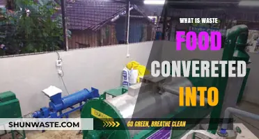 From Scraps to Resources: The Journey of Food Waste Conversion