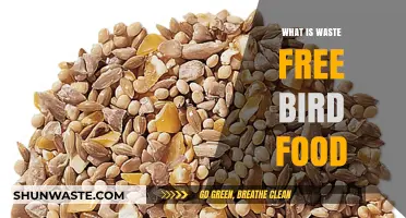 Eco-Friendly Avian Delights: Exploring Waste-Free Bird Food Options