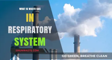 Understanding Waste Gas in the Respiratory System: Functions and Processes