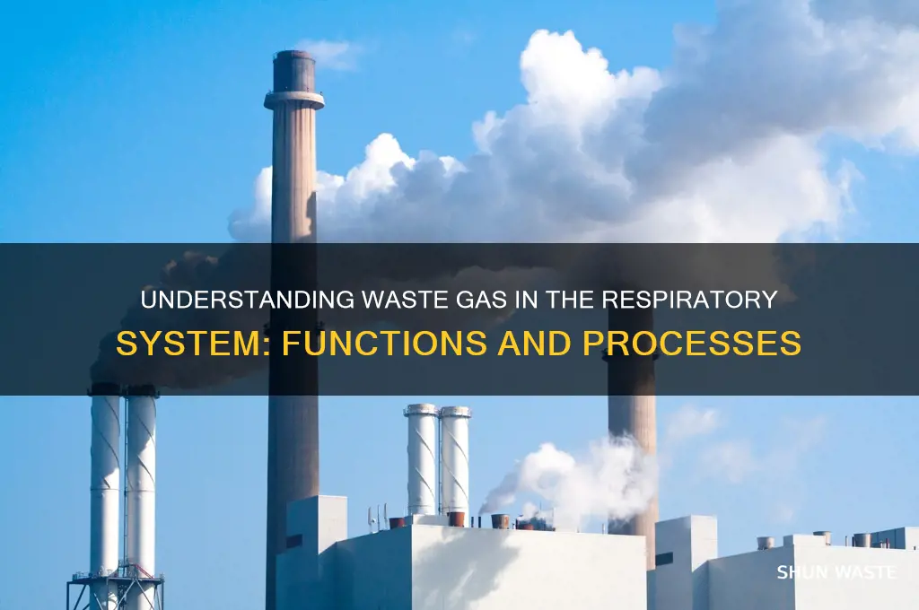 what is waste gas in respiratory system