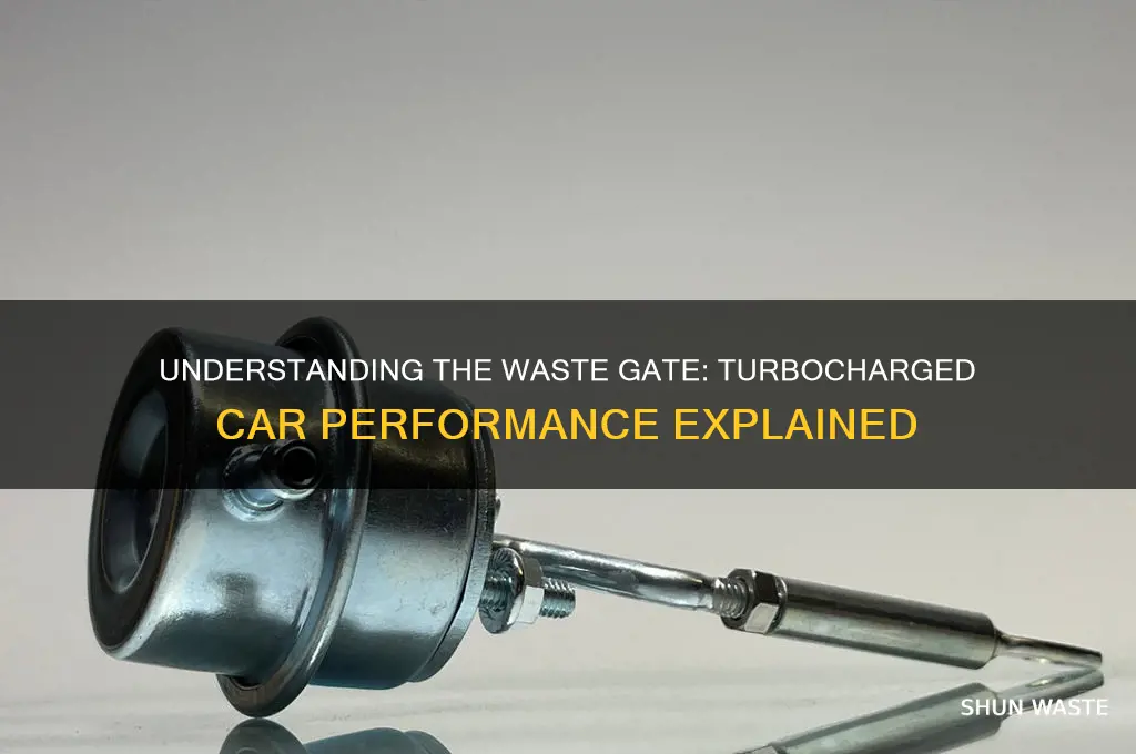 what is waste gate on a car