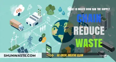 Sustainable Supply Chains: Strategies to Minimize Waste and Maximize Efficiency
