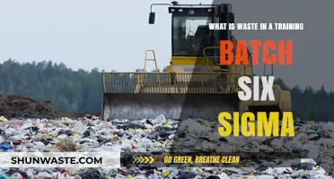 Understanding Waste in Six Sigma Training Batches: Key Concepts