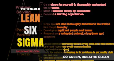 Understanding Waste in Lean Six Sigma: Types, Impact, and Elimination Strategies
