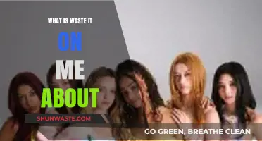 Understanding the Meaning Behind 'Waste It on Me' Lyrics and Message