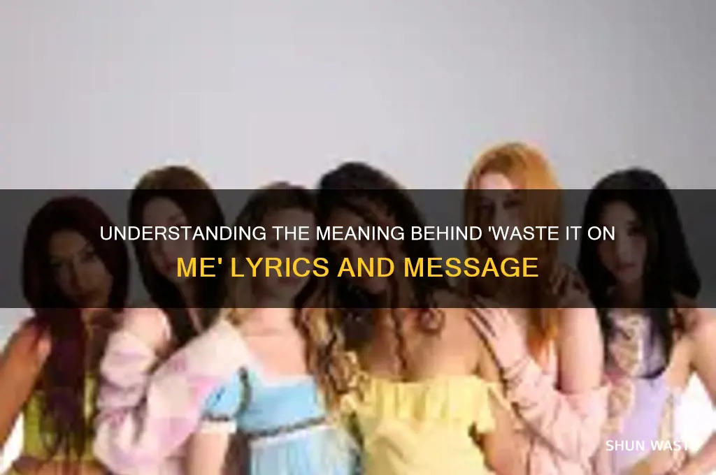 what is waste it on me about