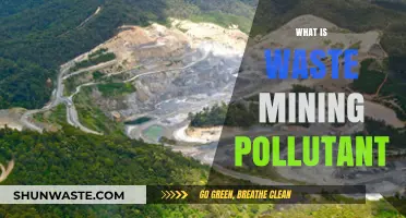 Waste Mining: Pollutant Extraction and Environmental Impact