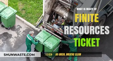 Understanding the Waste of Finite Resources Ticket: A Comprehensive Guide