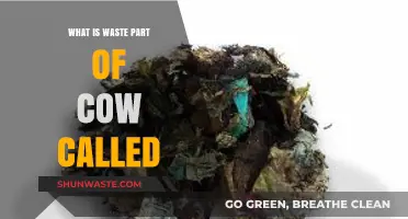 Understanding the Waste Part of a Cow: Terminology and Uses Explained
