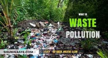 Waste Pollution: Understanding the Devastating Impact on Our Planet