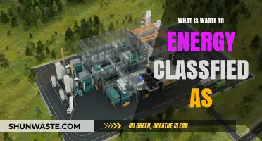 Waste-to-Energy: Understanding Its Classification and Environmental Impact