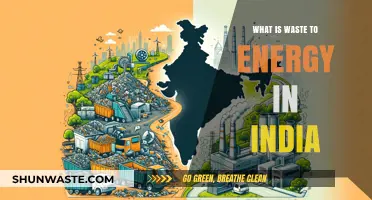 Waste to Energy in India: Transforming Trash into Power