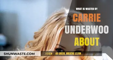Understanding the Meaning Behind Carrie Underwood's 'Wasted' Lyrics