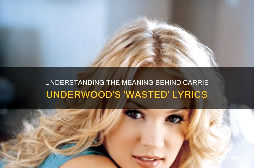 what is wasted by carrie underwood about