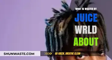 Unraveling the Meaning Behind Juice WRLD's 'Wasted' Lyrics