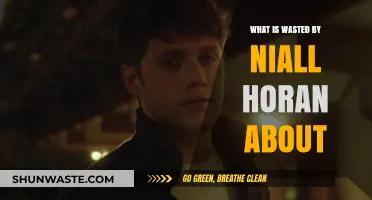 Niall Horan's 'Wasted': Unraveling the Song's Meaning and Message