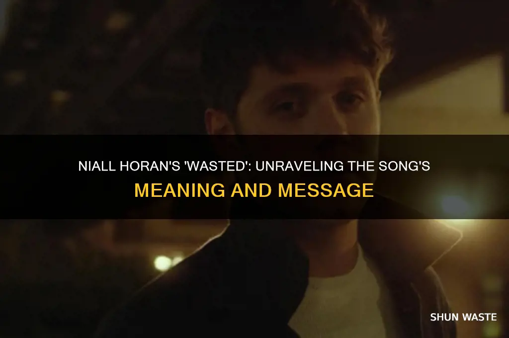 what is wasted by niall horan about