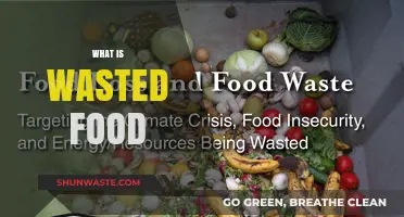 The Hidden Crisis: Understanding and Combating Food Waste