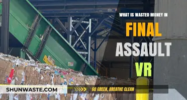 Final Assault VR: Identifying and Avoiding Wasted Money in Gameplay