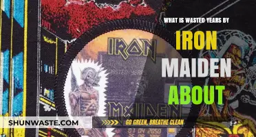 Unraveling Iron Maiden's 'Wasted Years': Themes, Lyrics, and Legacy Explored