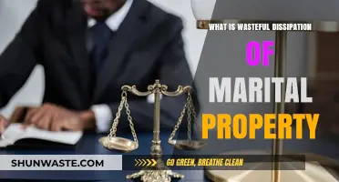 Understanding Wasteful Dissipation of Marital Property in Divorce Proceedings