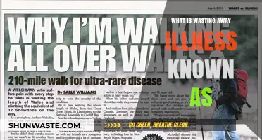 Understanding the Devastating Wasting Away Illness: Causes and Symptoms Explained