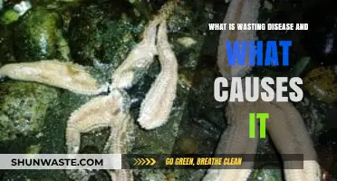 Understanding Wasting Disease: Causes, Symptoms, and Impact Explained