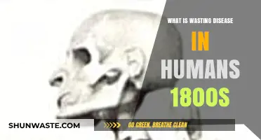 Unveiling the Devastating Wasting Disease: 1800s Human Health Crisis