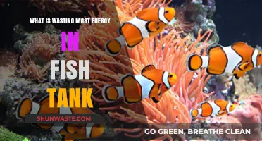 Unseen Energy Drains: Top Culprits Wasting Power in Your Fish Tank